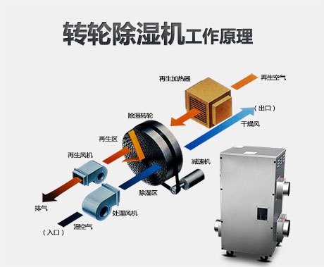 新华通讯社采购某品牌商用环保辣椒视频APP下载并安装