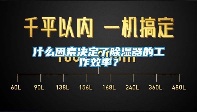 什么因素决定了除湿器的工作效率？