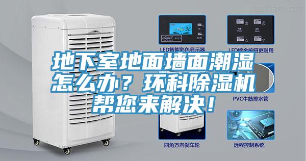 地下室地面墙面潮湿怎么办？环科辣椒视频APP下载并安装帮您来解决！