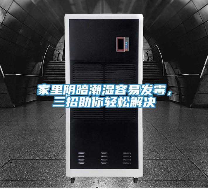 家里阴暗潮湿容易发霉，三招助你轻松解决