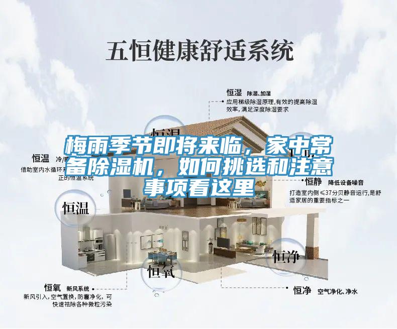 梅雨季节即将来临，家中常备辣椒视频APP下载并安装，如何挑选和注意事项看这里