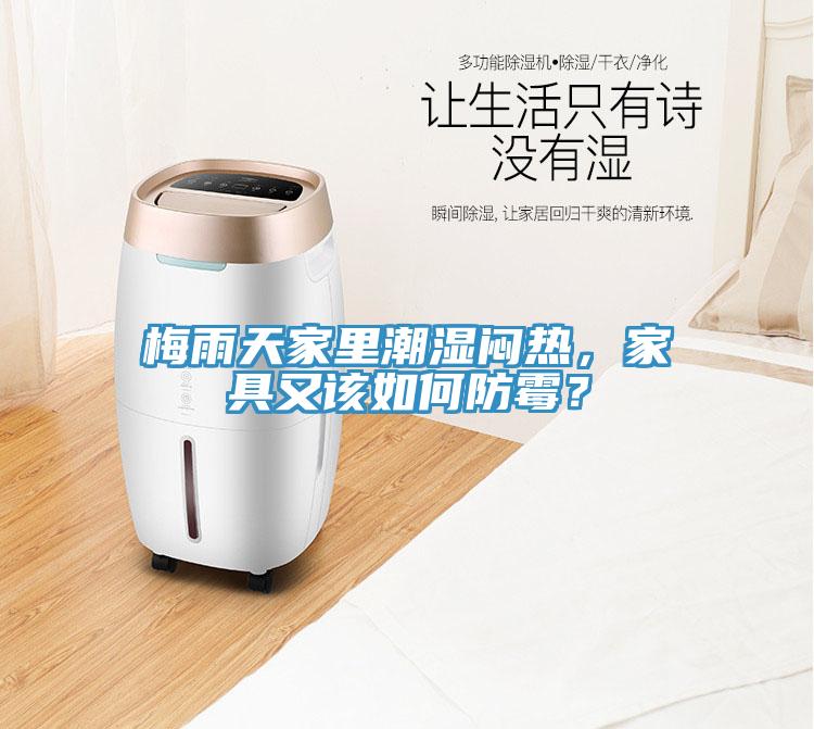 梅雨天家里潮湿闷热，家具又该如何防霉？