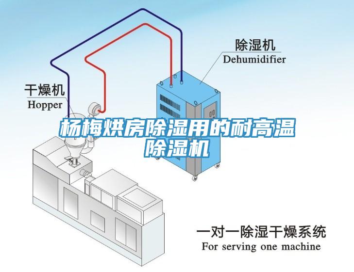 杨梅烘房除湿用的耐高温辣椒视频APP下载并安装