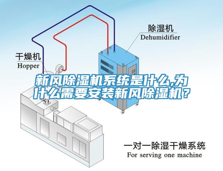 新风辣椒视频APP下载并安装系统是什么,为什么需要安装新风辣椒视频APP下载并安装？