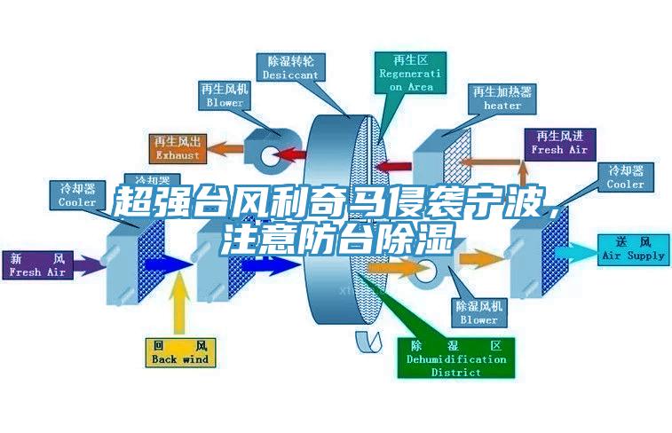 超强台风利奇马侵袭宁波，注意防台除湿