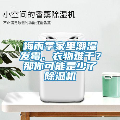 梅雨季家里潮湿发霉、衣物难干？那你可能是少了辣椒视频APP下载并安装