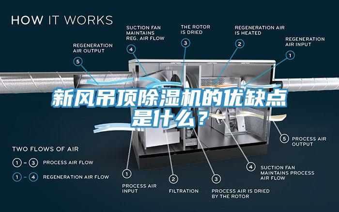 新风吊顶辣椒视频APP下载并安装的优缺点是什么？