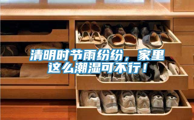 清明时节雨纷纷，家里这么潮湿可不行！