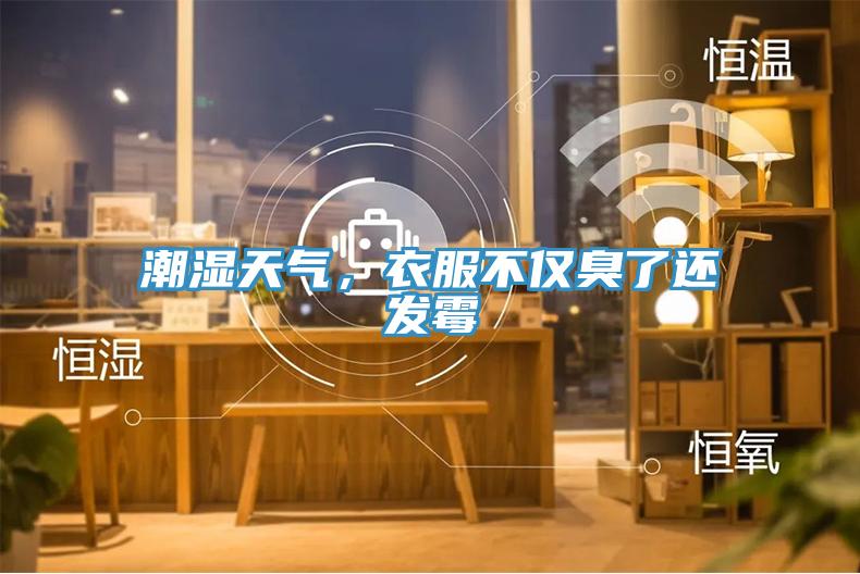 潮湿天气，衣服不仅臭了还发霉