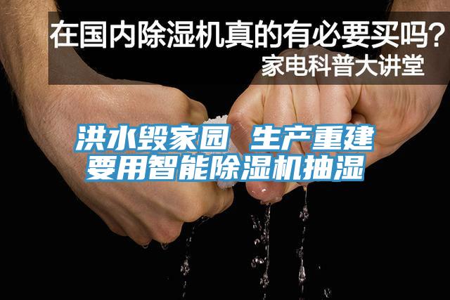 洪水毁家园 生产重建要用智能辣椒视频APP下载并安装抽湿