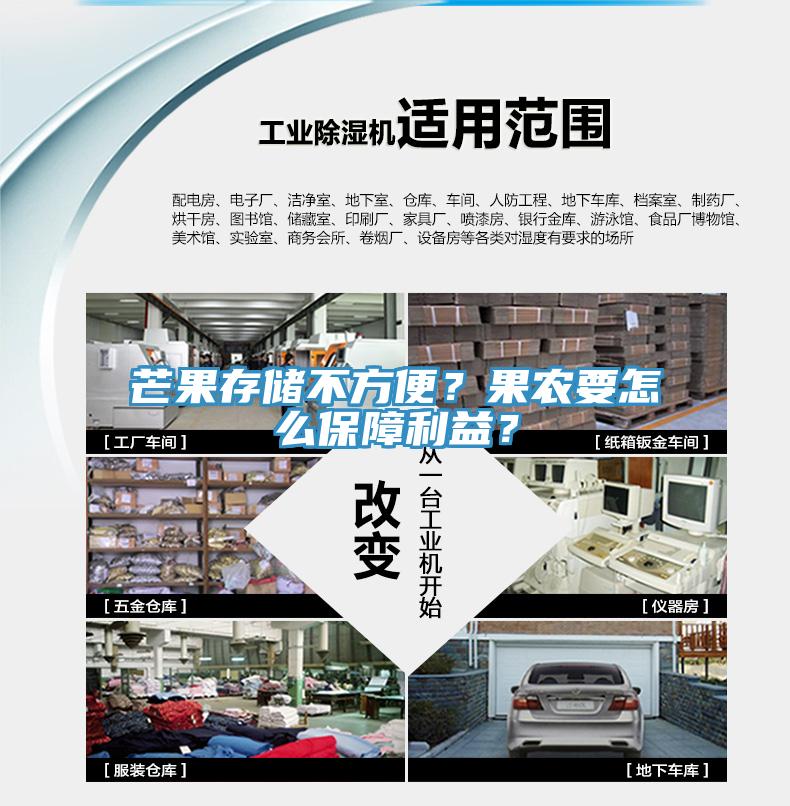 芒果存储不方便？果农要怎么保障利益？