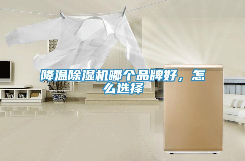 降温辣椒视频APP下载并安装哪个品牌好，怎么选择