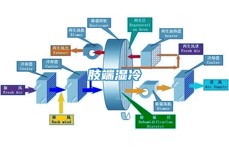 肢端湿冷