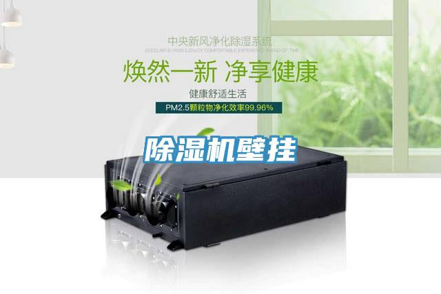 辣椒视频APP下载并安装壁挂