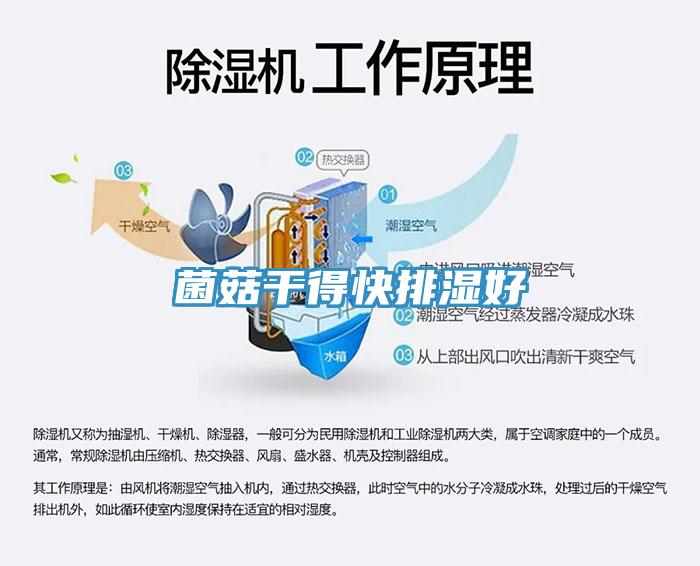 菌菇干得快排湿好