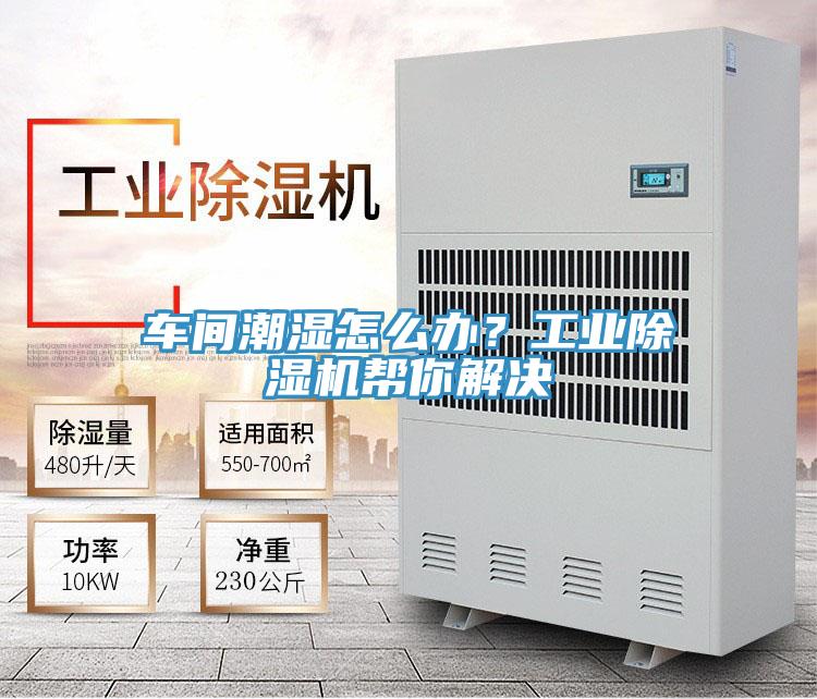 车间潮湿怎么办？工业辣椒视频APP下载并安装帮你解决