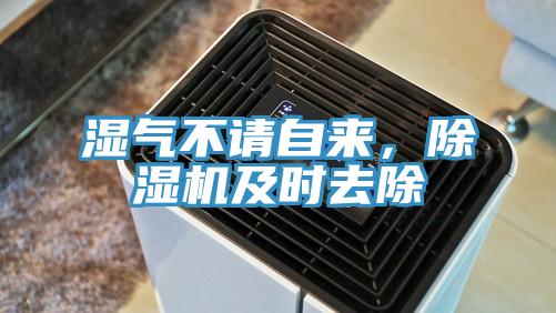 湿气不请自来，辣椒视频APP下载并安装及时去除