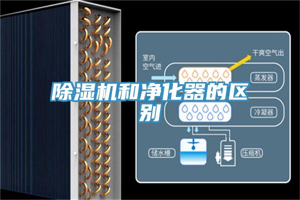 辣椒视频APP下载并安装和净化器的区别