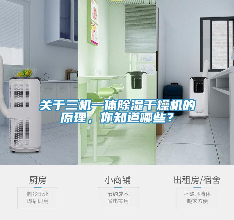 关于三机一体除湿干燥机的原理，你知道哪些？