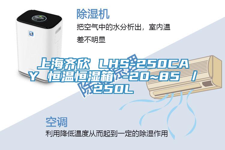 上海齐欣 LHS-250CAY 恒温恒湿箱 -20~85℃／250L