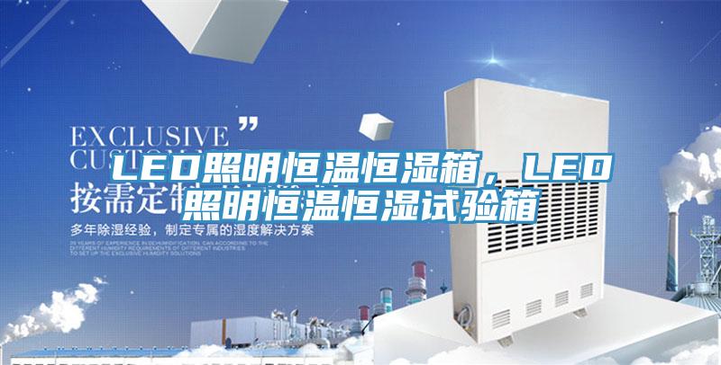 LED照明恒温恒湿箱，LED照明恒温恒湿试验箱