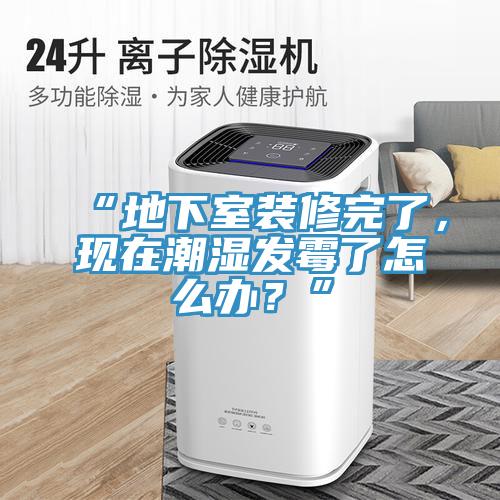 “地下室装修完了，现在潮湿发霉了怎么办？”