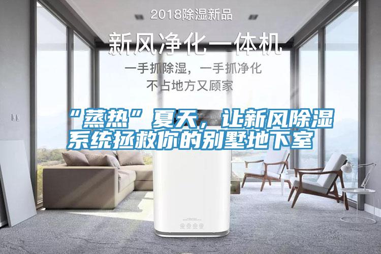“蒸热”夏天，让新风除湿系统拯救你的别墅地下室