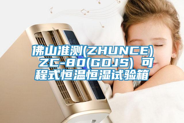 佛山准测(ZHUNCE) ZC-80(GDJS) 可程式恒温恒湿试验箱