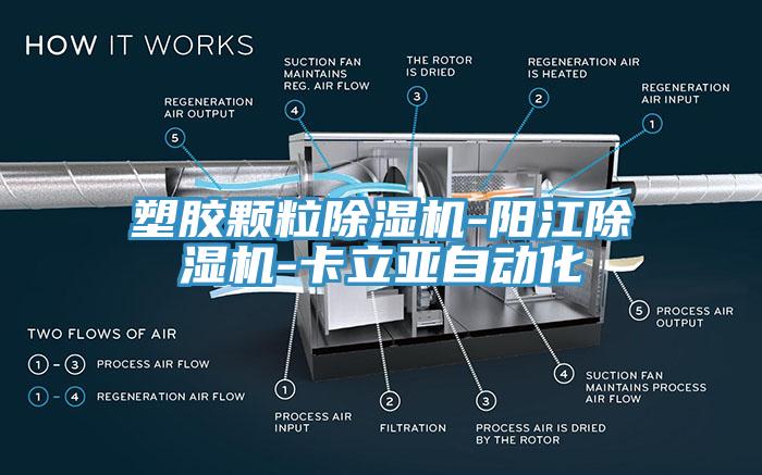 塑胶颗粒辣椒视频APP下载并安装-阳江辣椒视频APP下载并安装-卡立亚自动化