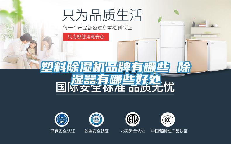 塑料辣椒视频APP下载并安装品牌有哪些 除湿器有哪些好处