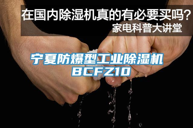 宁夏防爆型工业辣椒视频APP下载并安装 BCFZ10