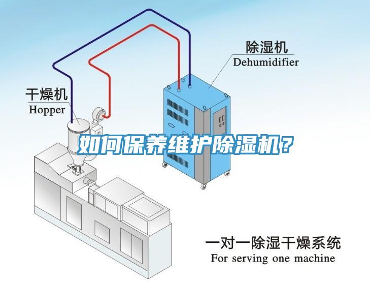 如何保养维护辣椒视频APP下载并安装？