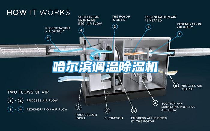 哈尔滨调温辣椒视频APP下载并安装