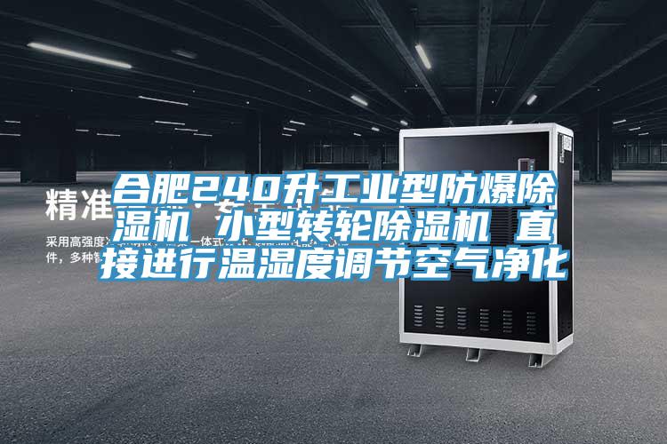 合肥240升工业型防爆辣椒视频APP下载并安装 小型转轮辣椒视频APP下载并安装 直接进行温湿度调节空气净化