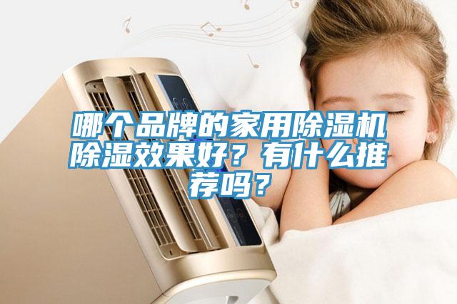 哪个品牌的家用辣椒视频APP下载并安装除湿效果好？有什么推荐吗？