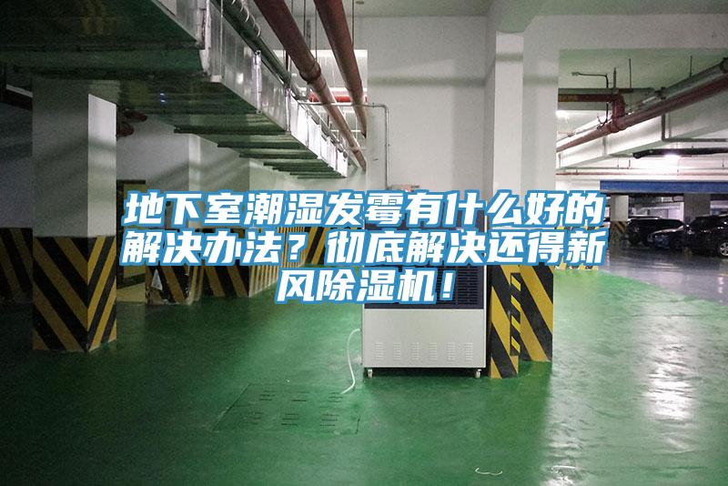 地下室潮湿发霉有什么好的解决办法？彻底解决还得新风辣椒视频APP下载并安装！