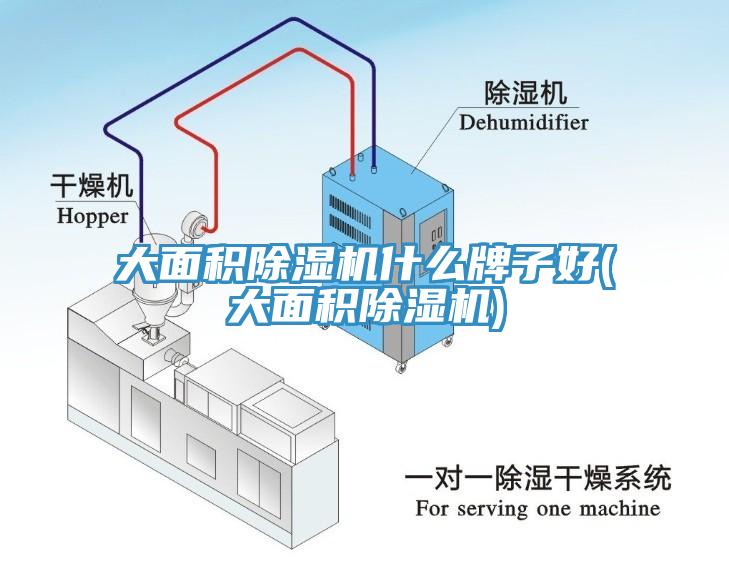 大面积辣椒视频APP下载并安装什么牌子好(大面积辣椒视频APP下载并安装)