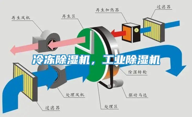 冷冻辣椒视频APP下载并安装，工业辣椒视频APP下载并安装