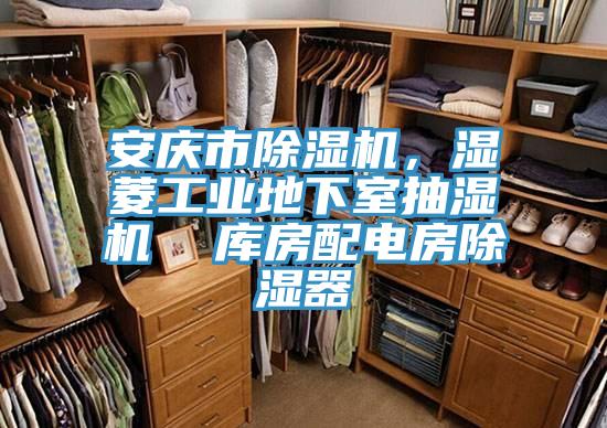 安庆市辣椒视频APP下载并安装，湿菱工业地下室抽湿机  库房配电房除湿器