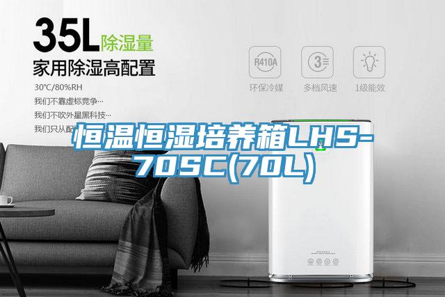 恒温恒湿培养箱LHS-70SC(70L)