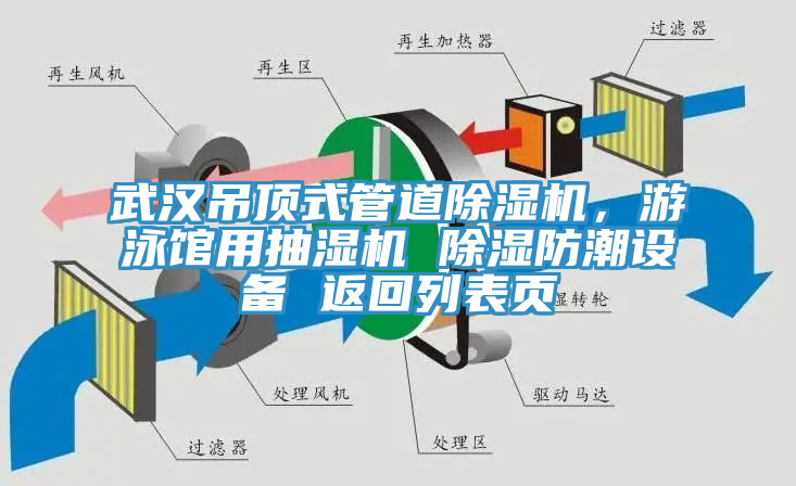 武汉吊顶式管道辣椒视频APP下载并安装，游泳馆用抽湿机 除湿防潮设备 返回列表页