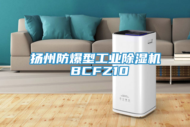 扬州防爆型工业辣椒视频APP下载并安装 BCFZ10