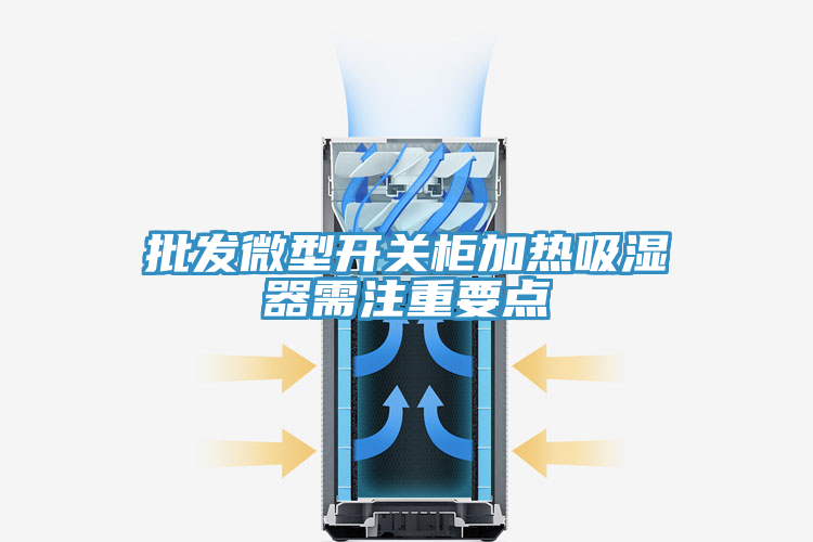 批发微型开关柜加热吸湿器需注重要点