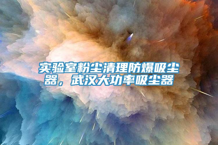 实验室粉尘清理防爆吸尘器，武汉大功率吸尘器