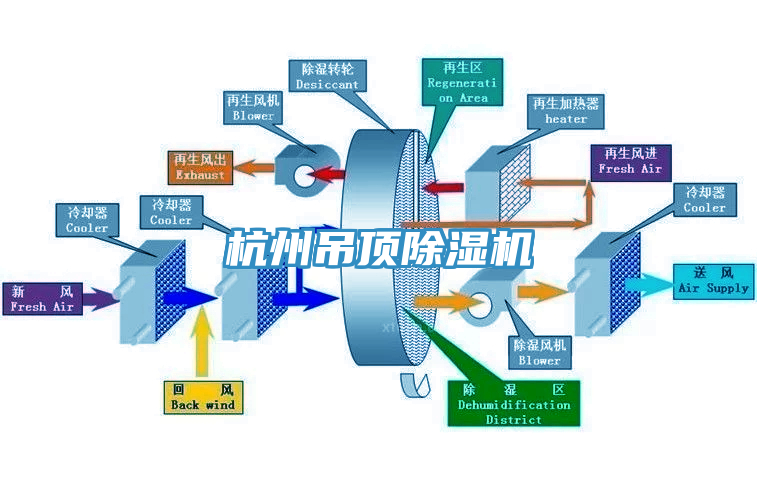 杭州吊顶辣椒视频APP下载并安装