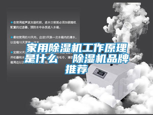 家用辣椒视频APP下载并安装工作原理是什么  辣椒视频APP下载并安装品牌推荐