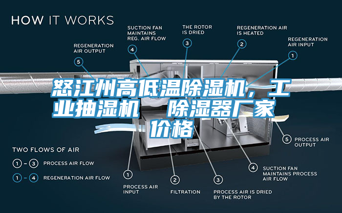 怒江州高低温辣椒视频APP下载并安装，工业抽湿机  除湿器厂家 价格