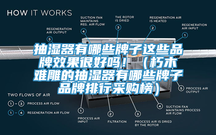 抽湿器有哪些牌子这些品牌效果很好吗！（朽木难雕的抽湿器有哪些牌子品牌排行采购榜）