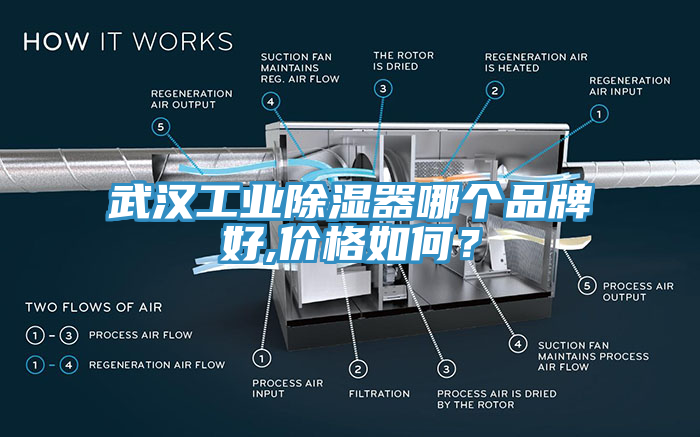 武汉工业除湿器哪个品牌好,价格如何？