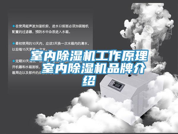 室内辣椒视频APP下载并安装工作原理 室内辣椒视频APP下载并安装品牌介绍